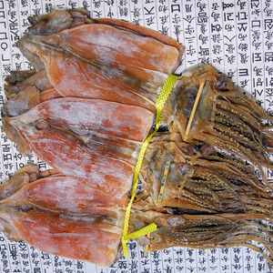 마른오징어(650g/10미)